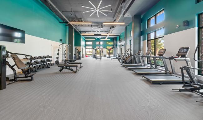 Get your workout on a gym with exercise equipment